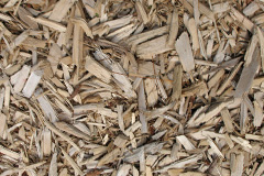biomass boilers Mulvin